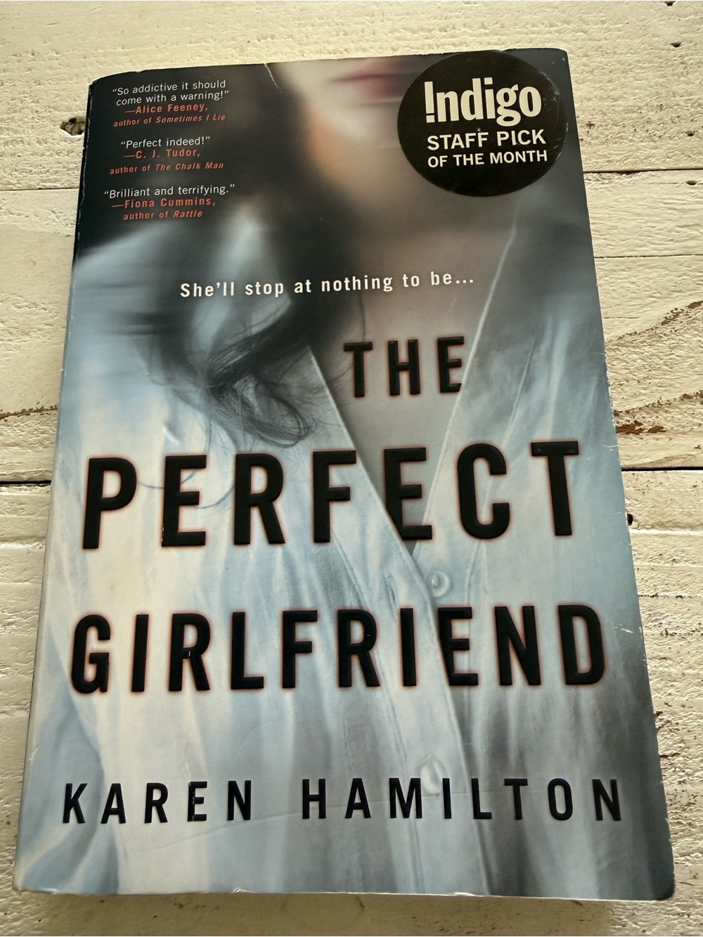 The Perfect Girlfriend by Karen Hamilton - Light Blue Cover